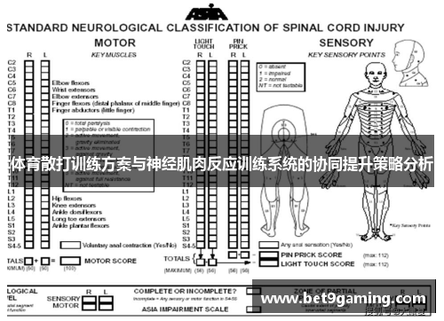 体育散打训练方案与神经肌肉反应训练系统的协同提升策略分析